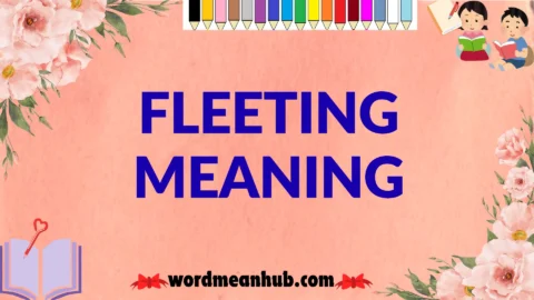 fleeting meaning