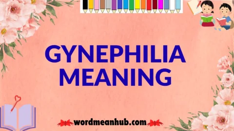 gynephilia meaning
