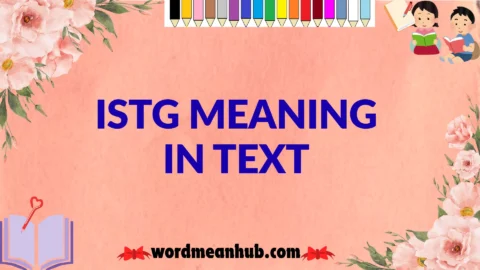 istg meaning in text