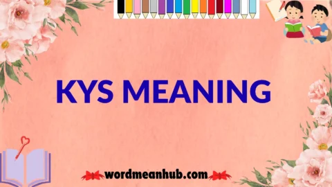 kys meaning
