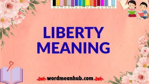 liberty meaning