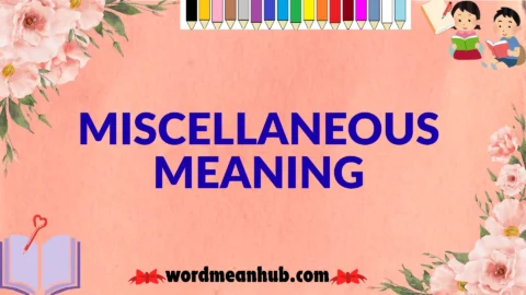 miscellaneous meaning
