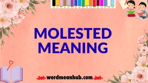 molested meaning