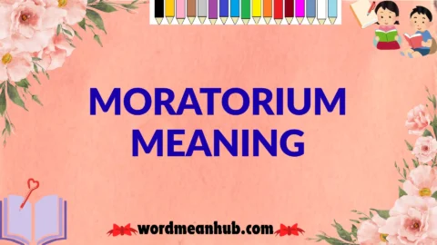 moratorium meaning