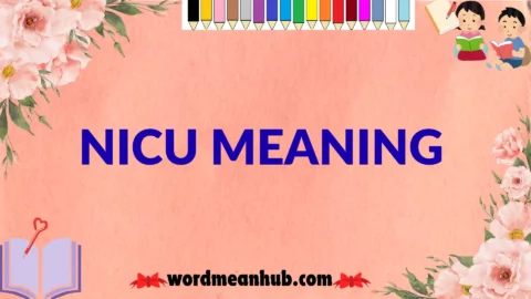 nicu meaning