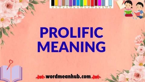 prolific meaning