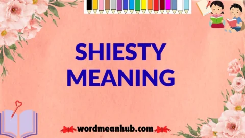shiesty meaning
