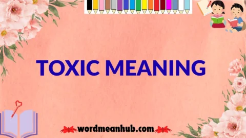 toxic meaning