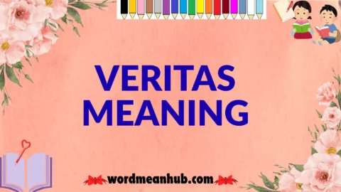 veritas meaning