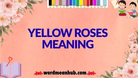 yellow roses meaning