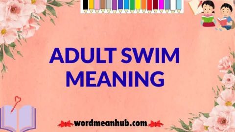 adult swim meaning