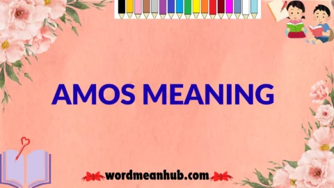 amos meaning