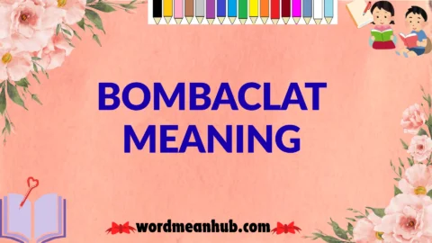 bombaclat meaning