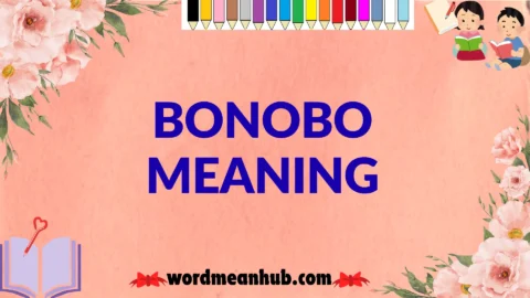 bonobo meaning