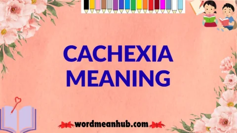 cachexia meaning