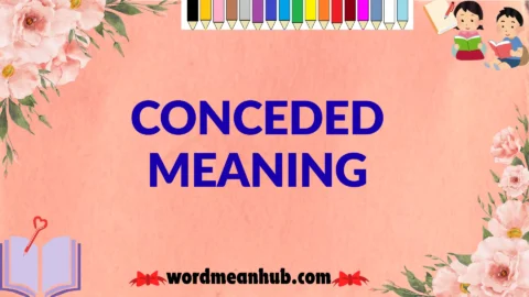 conceded meaning
