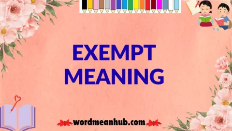 exempt meaning