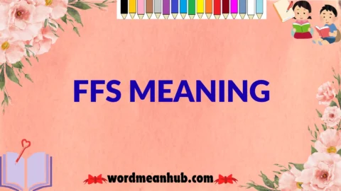 ffs meaning