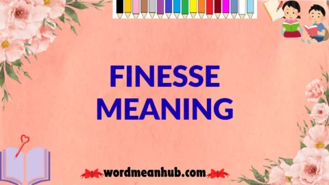finesse meaning