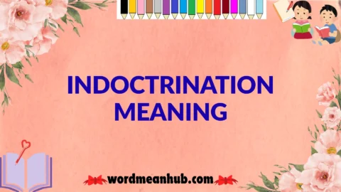 indoctrination meaning