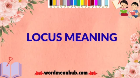 locus meaning