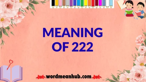 meaning of 222
