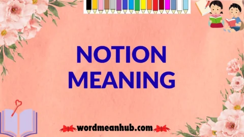 notion meaning