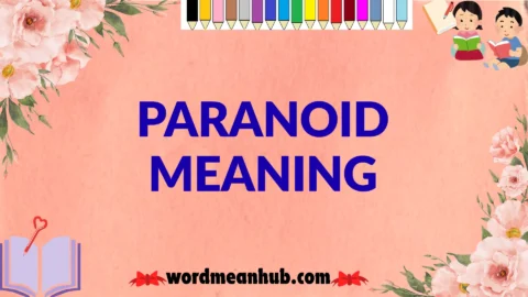 paranoid meaning