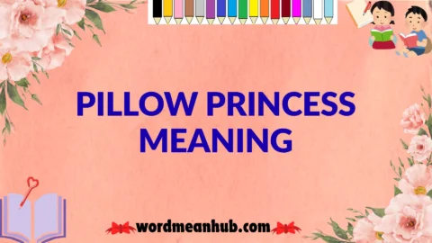 pillow princess meaning