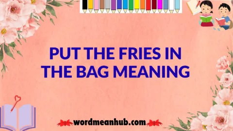 put the fries in the bag meaning