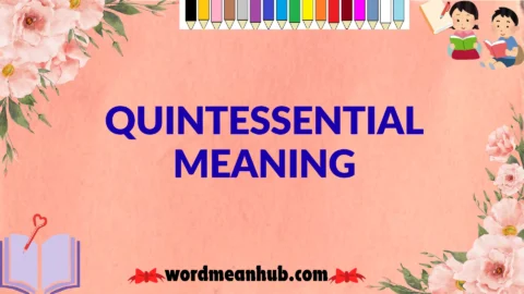 quintessential meaning