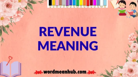 revenue meaning