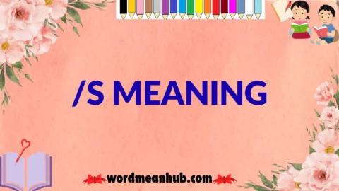 /s meaning