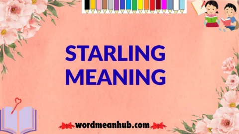 starling meaning