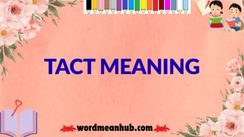 tact meaning