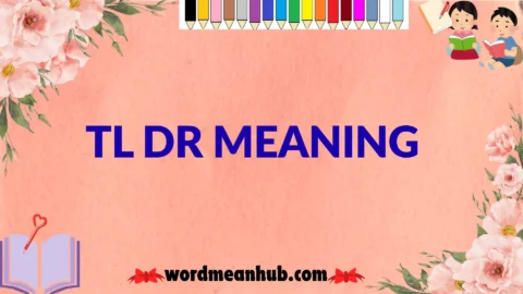 tl dr meaning
