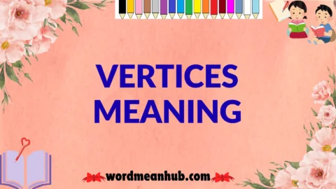 vertices meaning