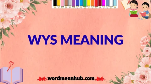 wys meaning