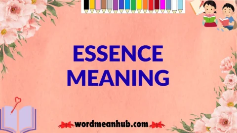 essence meaning