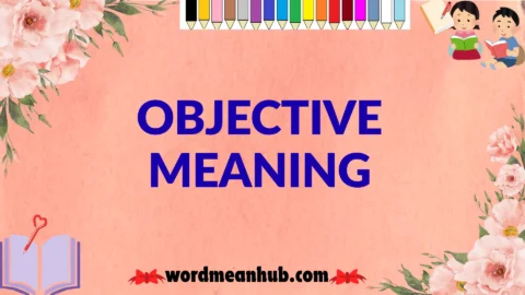 objective meaning