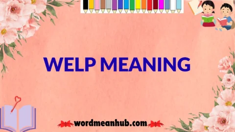 welp meaning