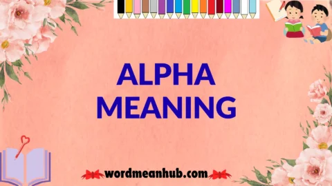 alpha meaning