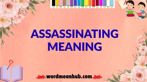 assassinating meaning