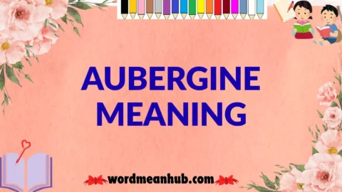 aubergine meaning