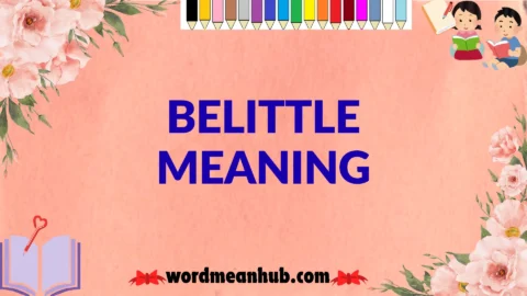 belittle meaning