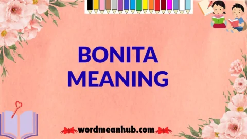 bonita meaning