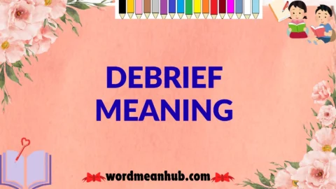 debrief meaning