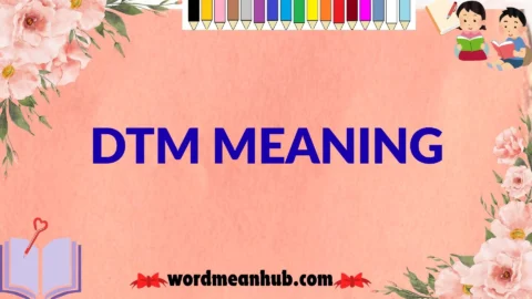 dtm meaning