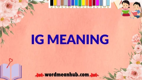 ig meaning