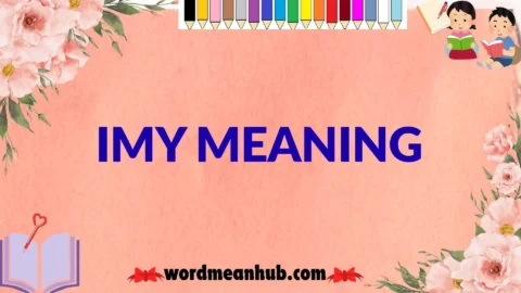 imy meaning